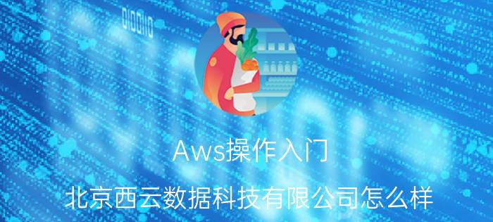 Aws操作入门 北京西云数据科技有限公司怎么样？